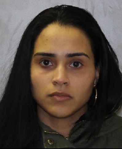 State Police Monroe arrest woman for Endangering the ...