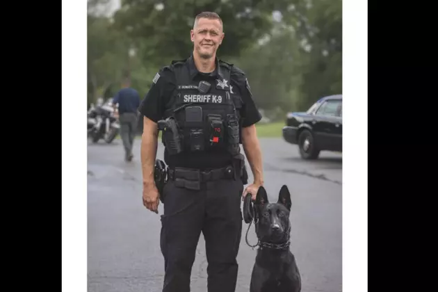 Hero K-9 Locates Missing Autistic Child in Montgomery, NY: A Story of Dedication and Teamwork