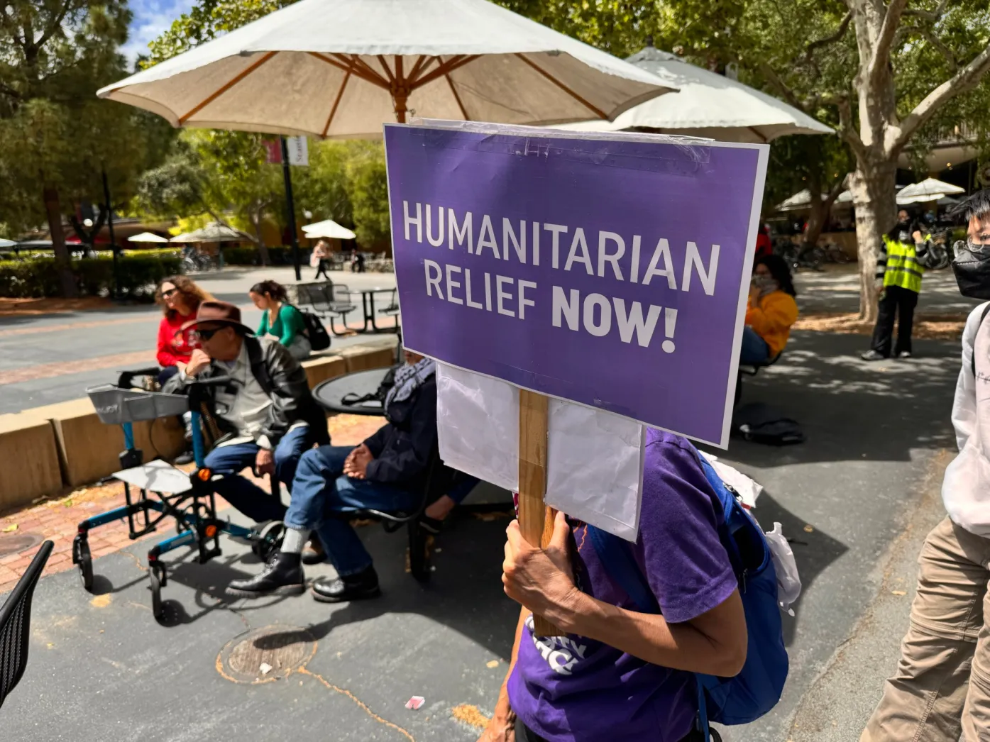 Stanford Students Launch Hunger Strike, Demand Divestment Over Gaza War