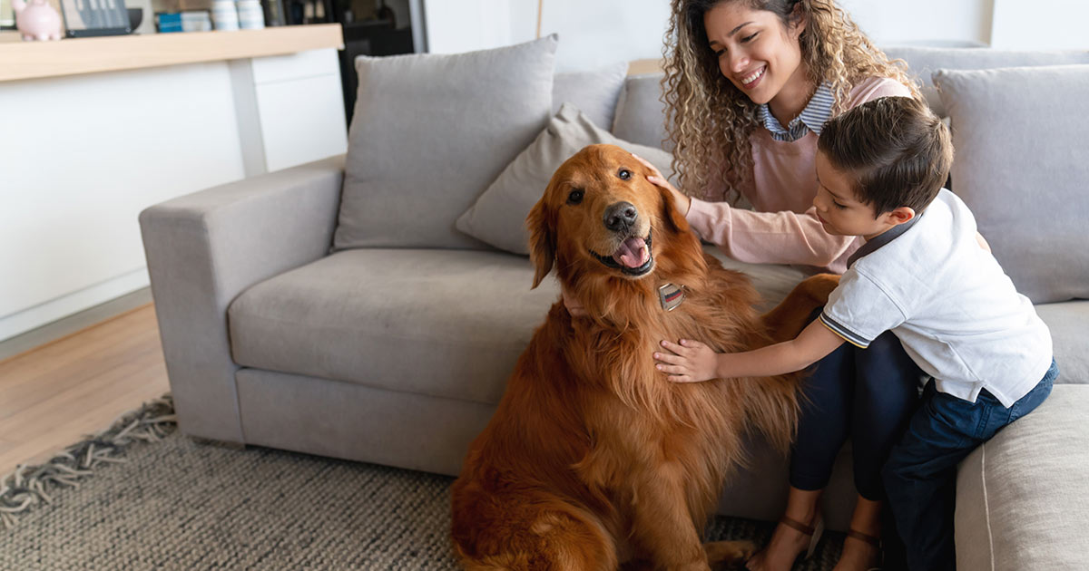 California Pet Population Continues to Grow While Pet Spending Sees a Decline