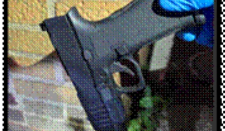 MPD Recovers 53 Illegal Firearms in Ongoing Push to Reduce Gun Violence in D.C.