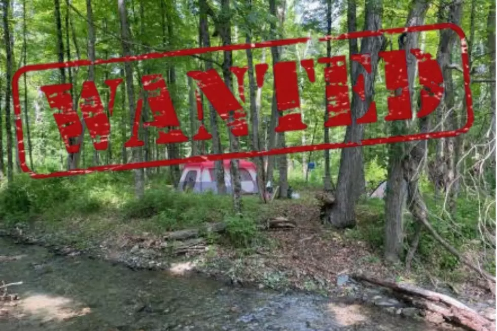 Wanted Suspect Arrested After Illegal Camping in Dutchess County
