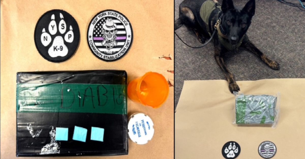 Bronx Man Arrested with Over 1,000 Grams of Fentanyl During East Fishkill Traffic Stop