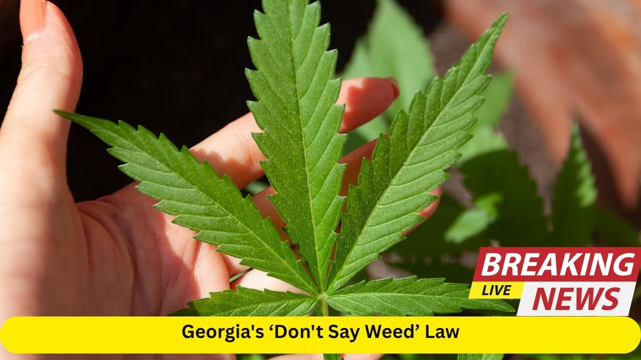 Georgia's ‘Don't Say Weed’ Law: What It Means for Medical Marijuana Users in 2025