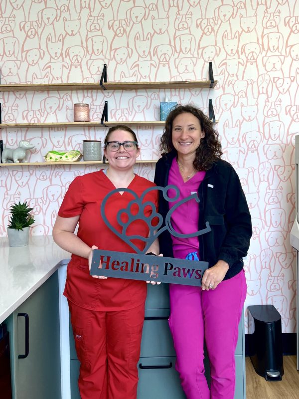 Healing Paws: Female-Owned Mount Kisco Vet Practice Redefines Compassionate Pet Care