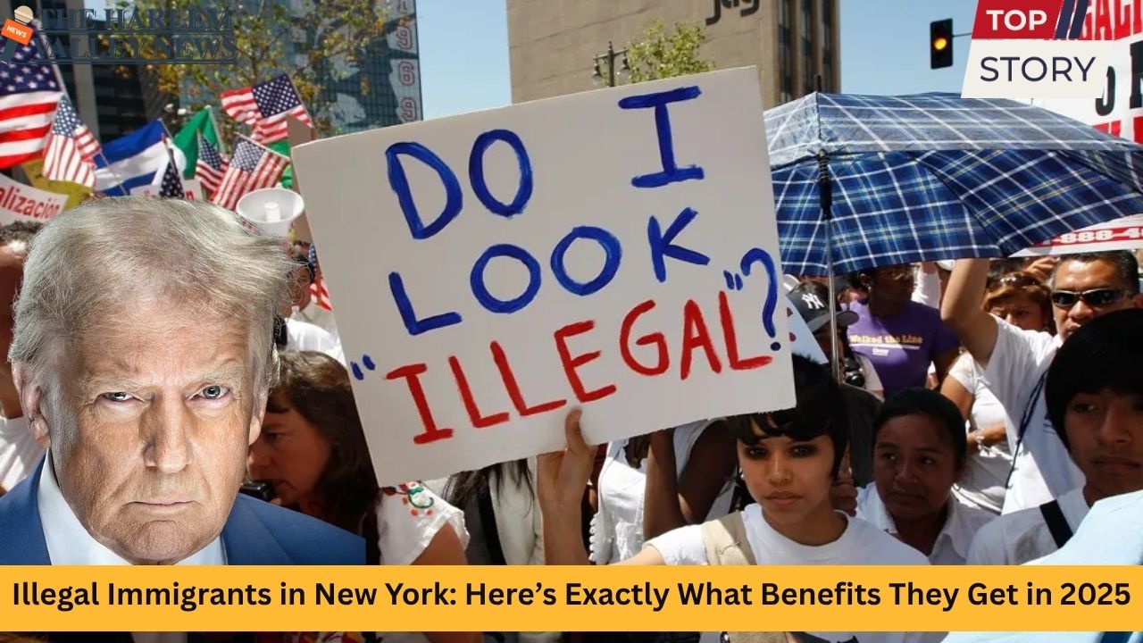Illegal Immigrants in New York Here’s Exactly What Benefits They Get in 2025