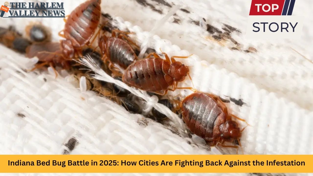 Indiana Bed Bug Battle in 2025 How Cities Are Fighting Back Against the Infestation