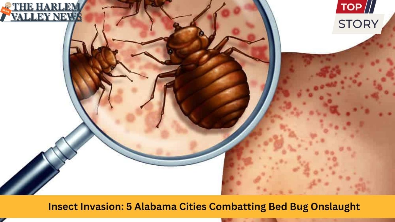 Insect Invasion: 5 Alabama Cities Combatting Bed Bug Onslaught