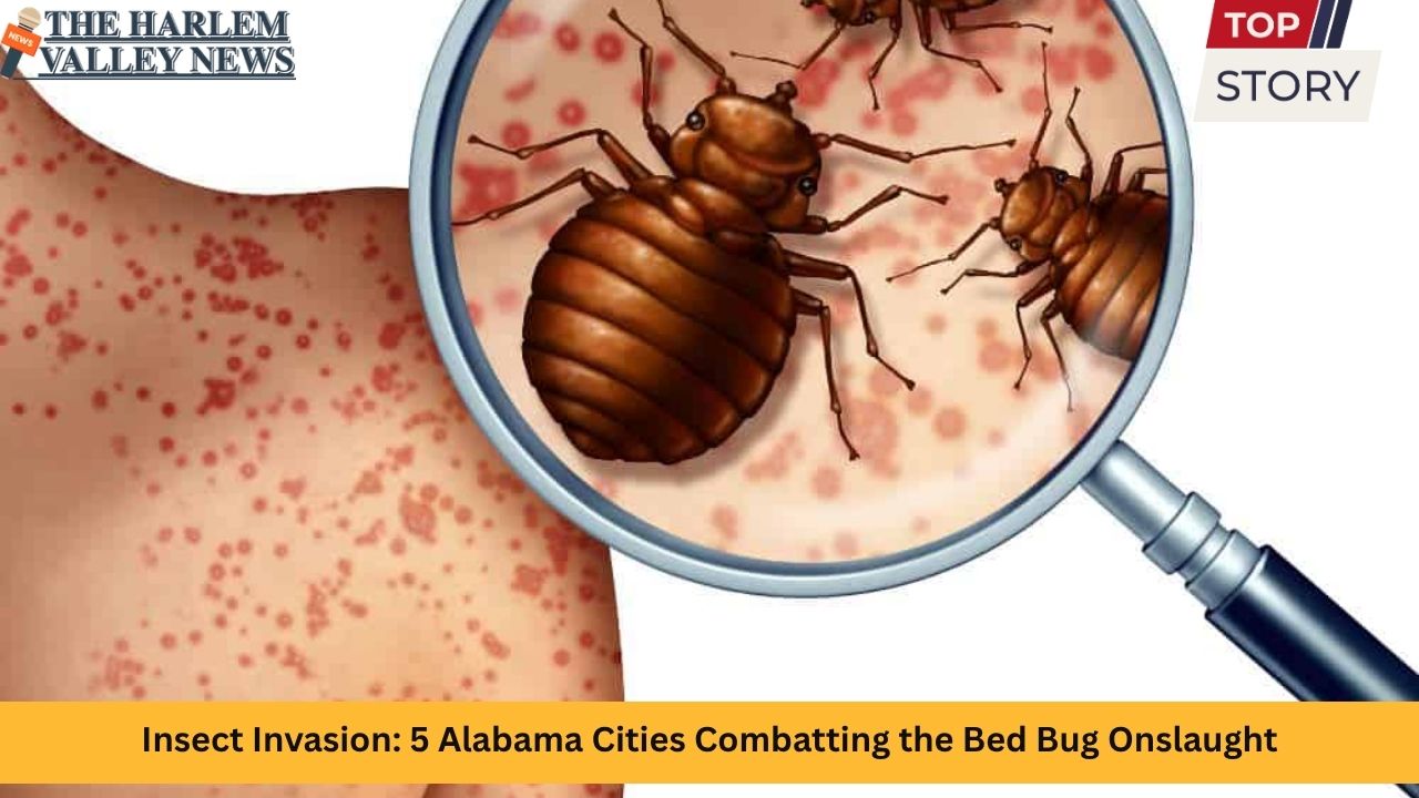 Insect Invasion: 5 Alabama Cities Combatting the Bed Bug Onslaught