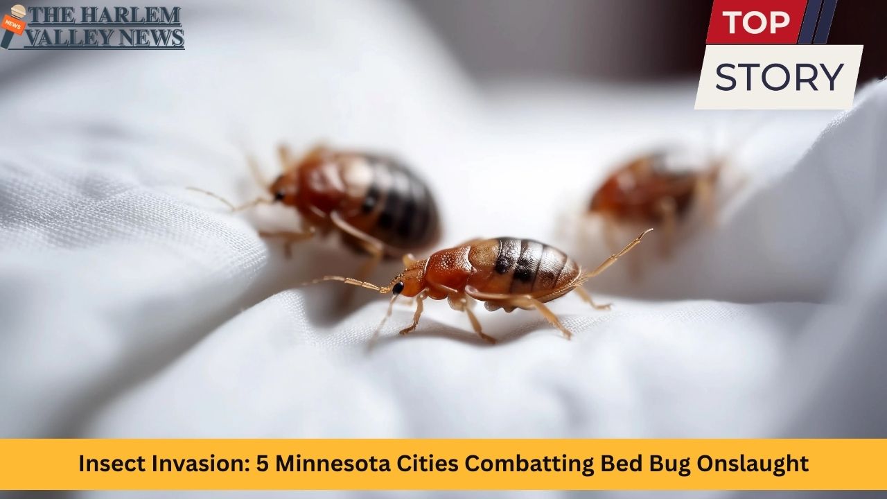 Insect Invasion: 5 Minnesota Cities Combatting Bed Bug Onslaught