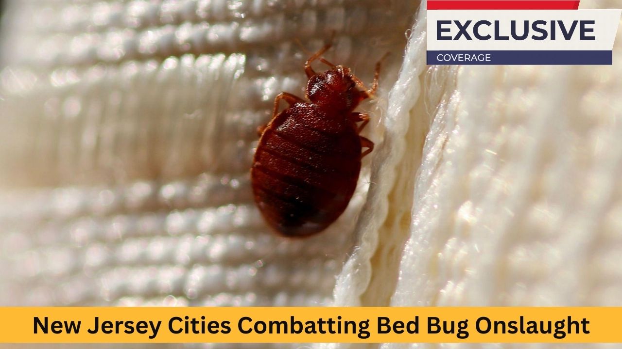Insect Invasion: 5 New Jersey Cities Combatting Bed Bug Onslaught