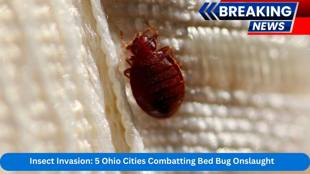 Insect Invasion 5 Ohio Cities Combatting Bed Bug Onslaught