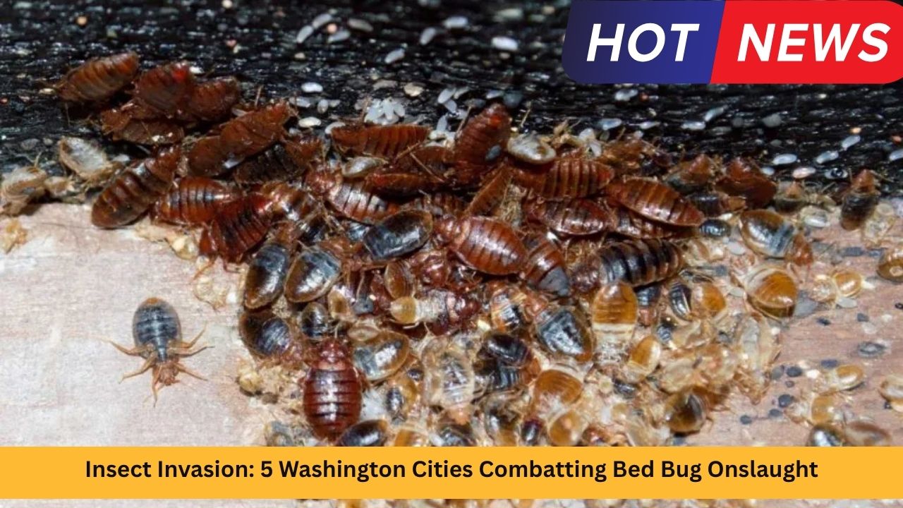 Insect Invasion: 5 Washington Cities Combatting Bed Bug Onslaught