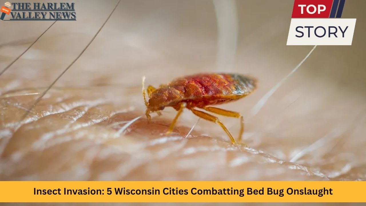 Insect Invasion: 5 Wisconsin Cities Combatting Bed Bug Onslaught