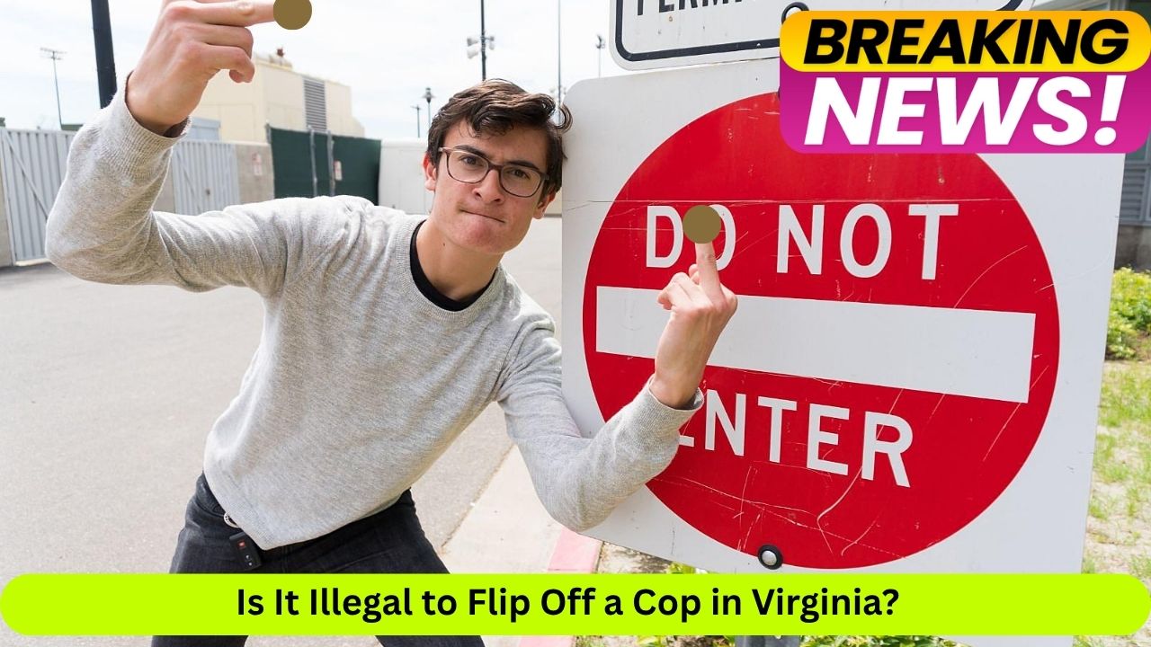 Is It Illegal to Flip Off a Cop in Virginia?