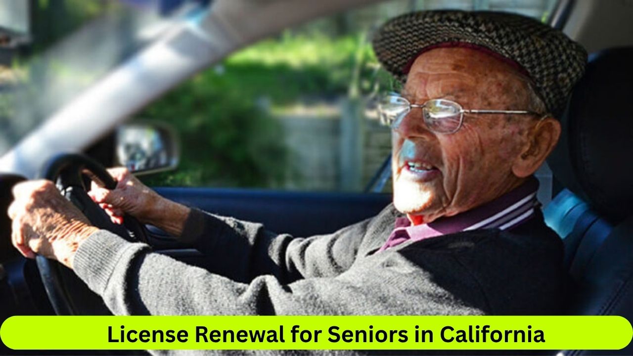 License Renewal for Seniors in California: What You Need to Know in 2025