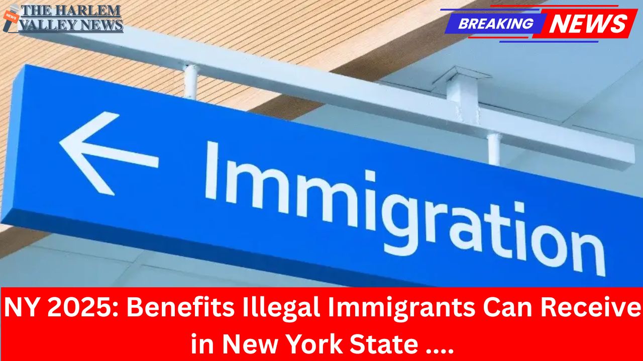 NY 2025: Benefits Illegal Immigrants Can Receive in New York State