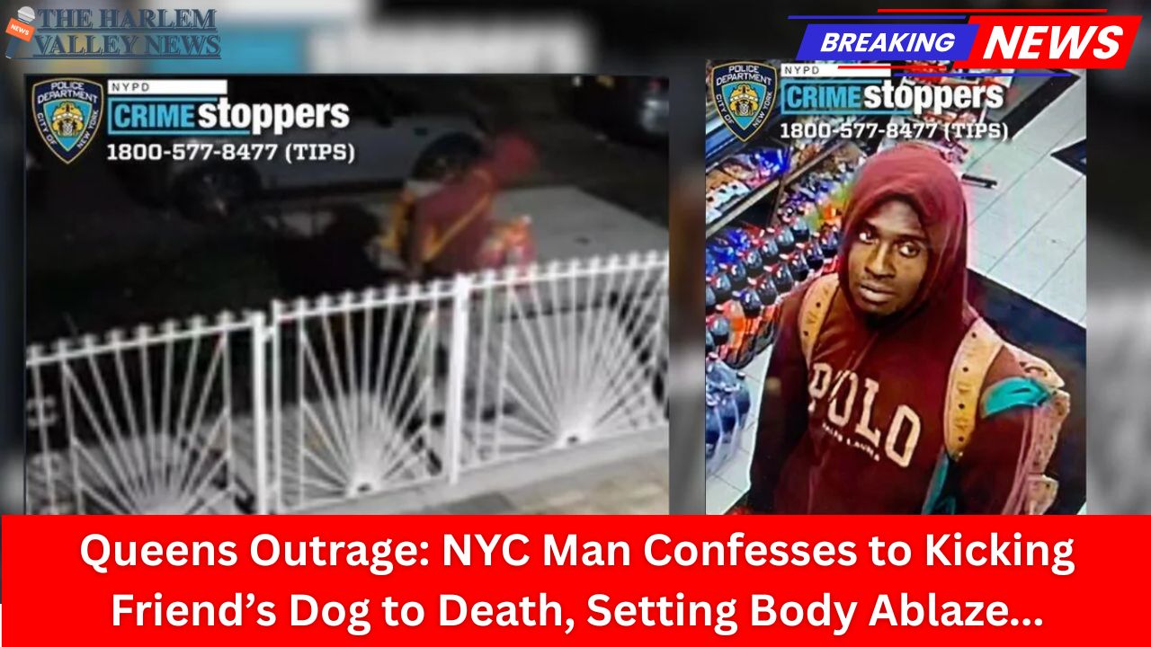 Queens Outrage: NYC Man Confesses to Kicking Friend’s Dog to Death, Setting Body Ablaze—Walks Free Pending Trial