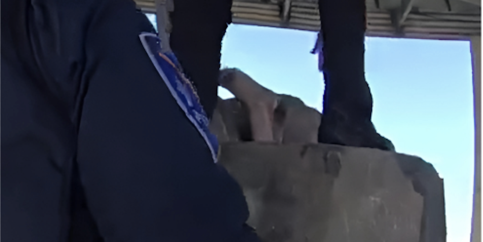 Stuck Between a Rock and... Another Rock: Man Rescued After Getting Stuck Head-First at Ephrata Amtrak Station