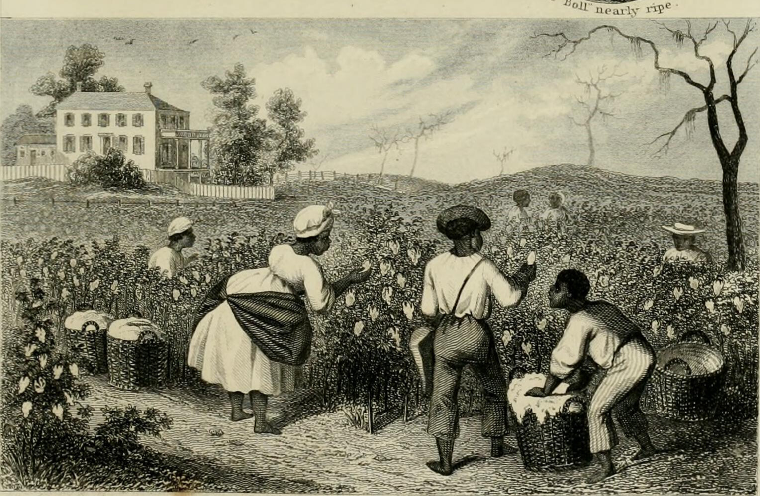 The 1838 Jesuit Slave Sale That Still Haunts Georgetown University Today