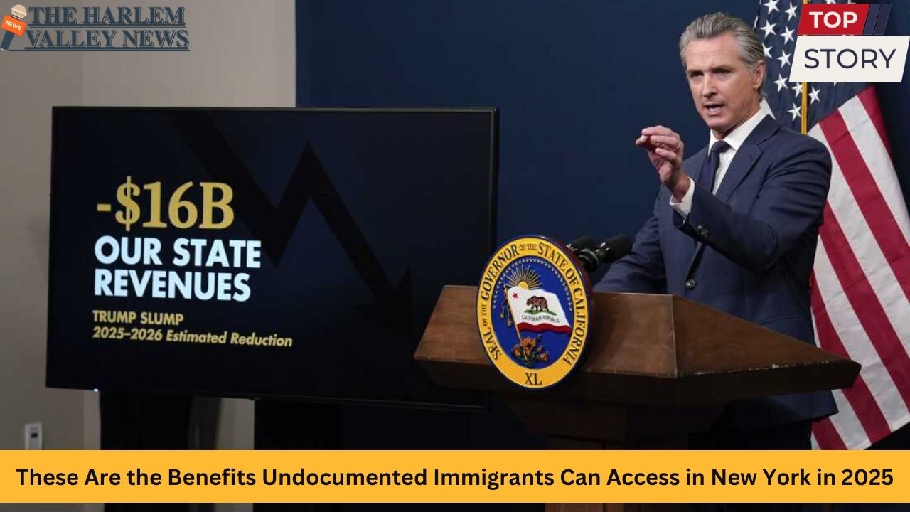 These Are the Benefits Undocumented Immigrants Can Access in New York in 2025