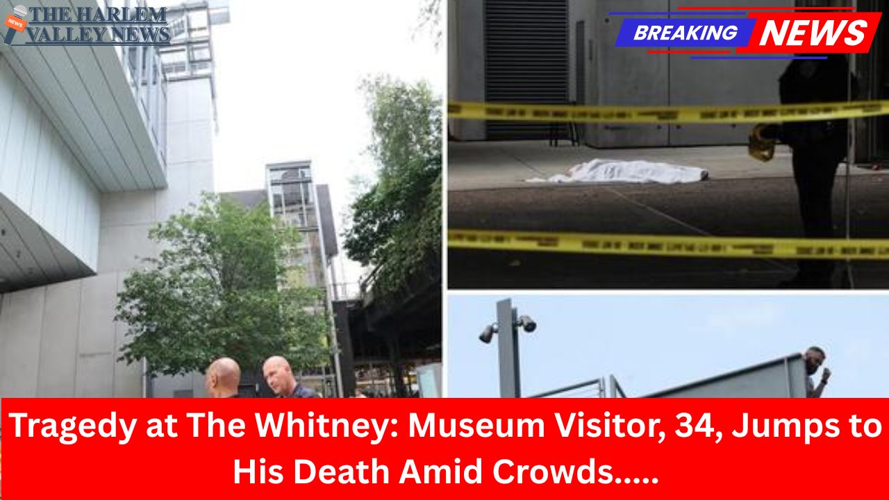Tragedy at The Whitney: Museum Visitor, 34, Jumps to His Death Amid Crowds