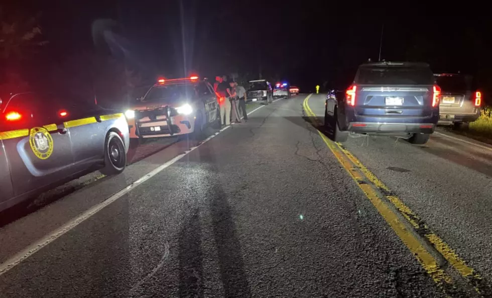 Two Suspects Caught After Shedding Clothes and Fleeing Into Dutchess County Woods