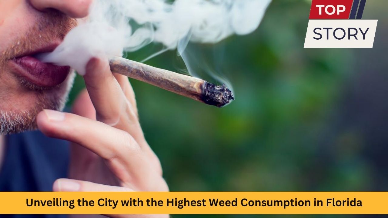 Unveiling the City with the Highest Weed Consumption in Florida