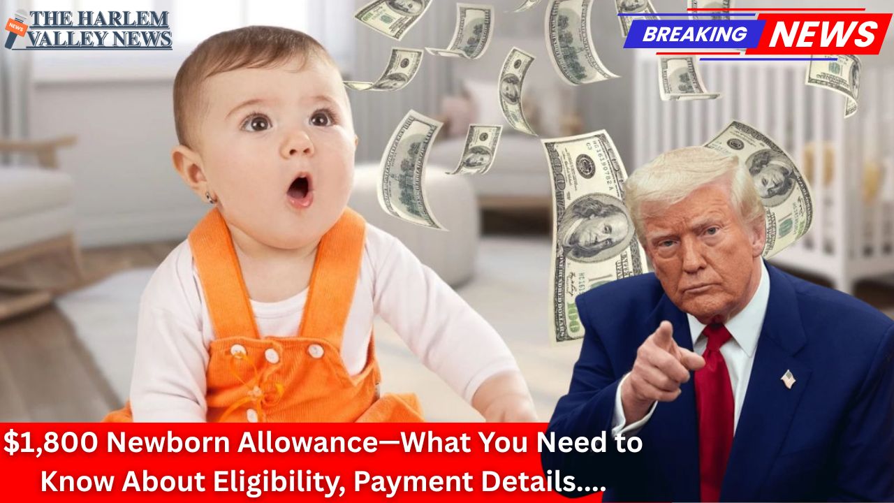 $1,800 Newborn Allowance—What You Need to Know About Eligibility, Payment Details, and Timeline