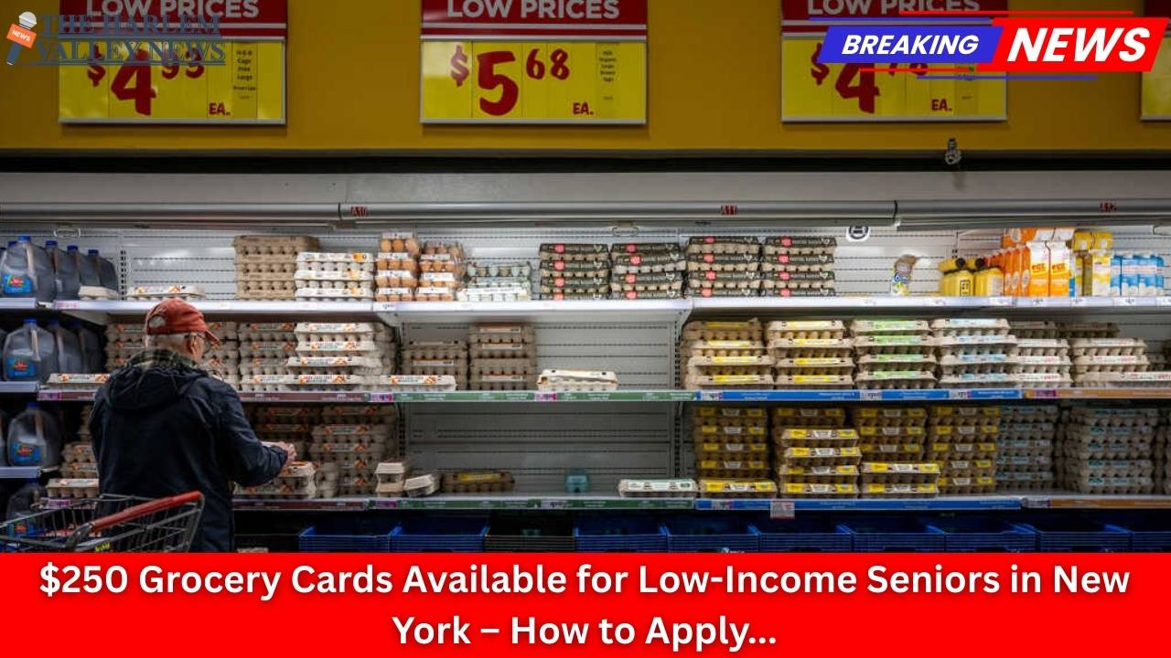 $250 Grocery Cards Available for Low-Income Seniors in New York – How to Apply