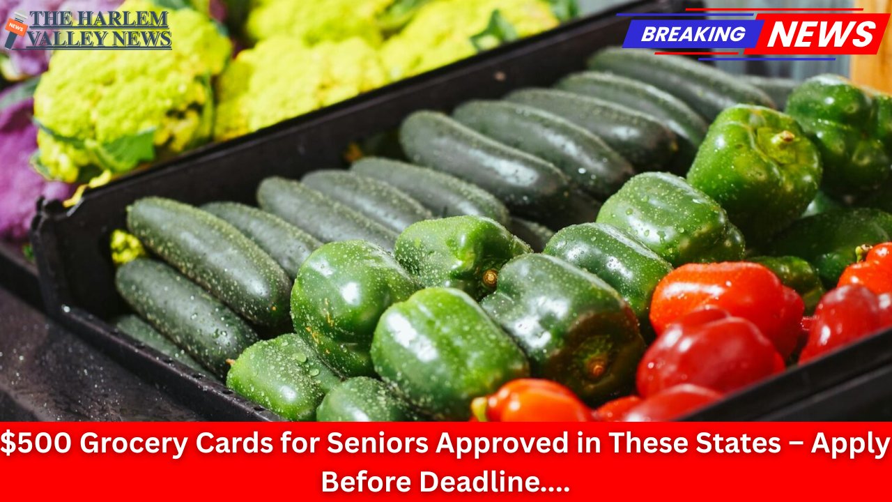 $500 Grocery Cards for Seniors Approved in These States – Apply Before Deadline