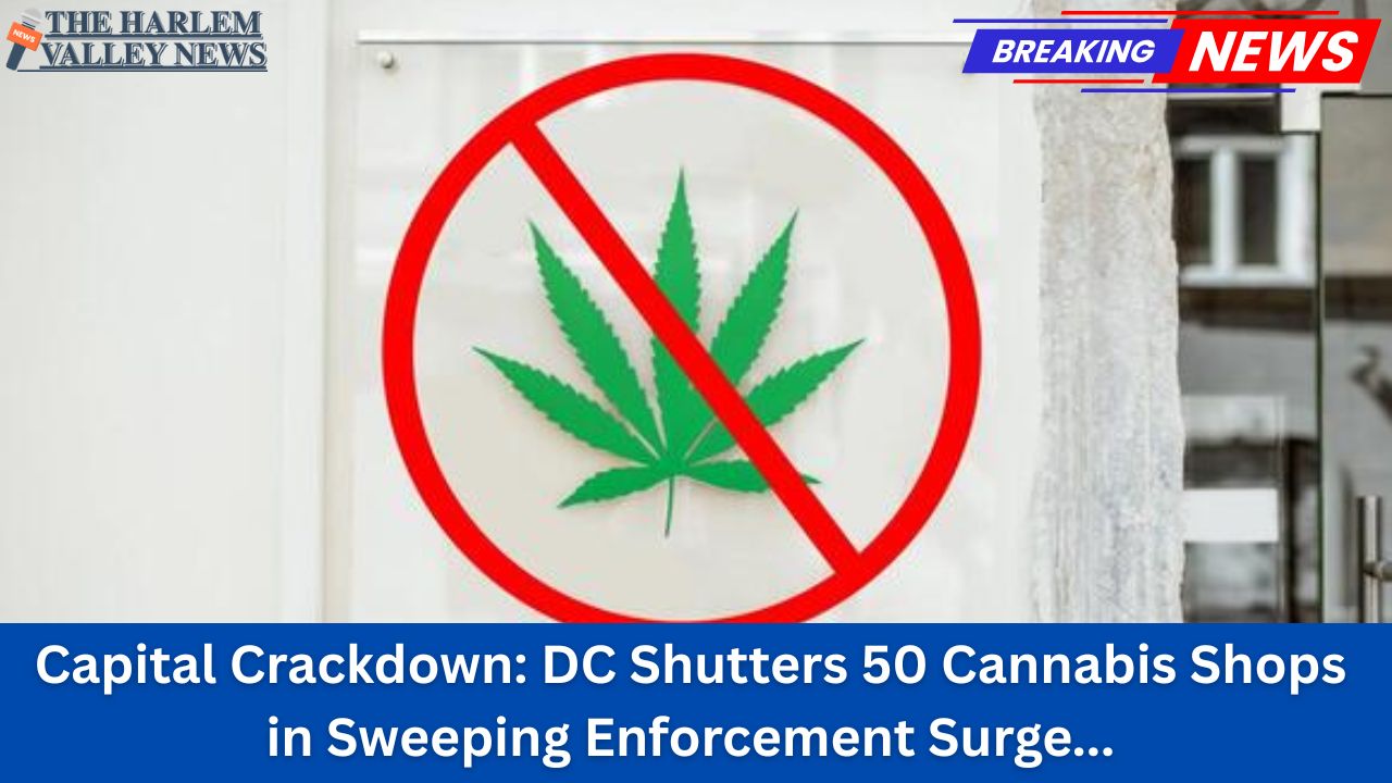Capital Crackdown: DC Shutters 50 Cannabis Shops in Sweeping Enforcement Surge