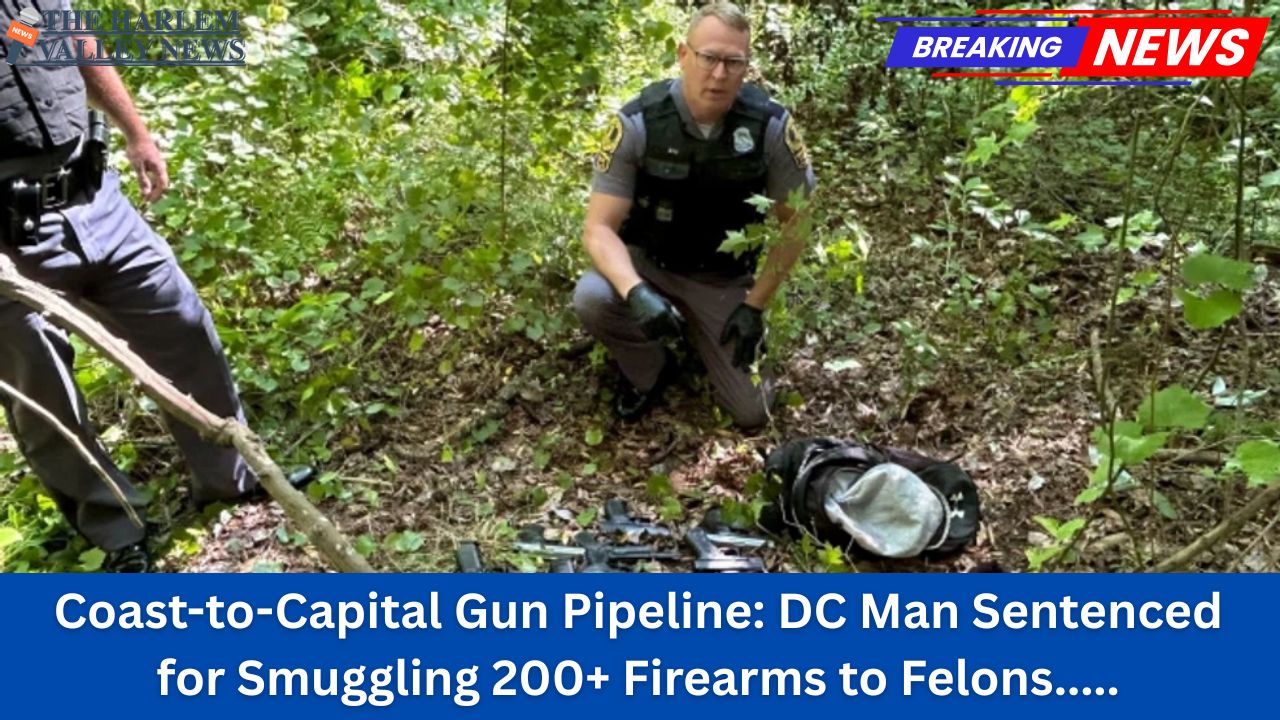 Coast-to-Capital Gun Pipeline: DC Man Sentenced for Smuggling 200+ Firearms to Felons