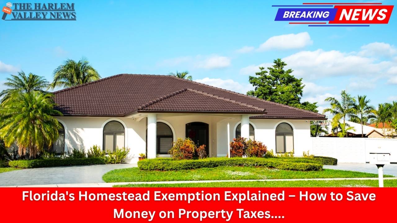 Florida's Homestead Exemption Explained – How to Save Money on Property Taxes