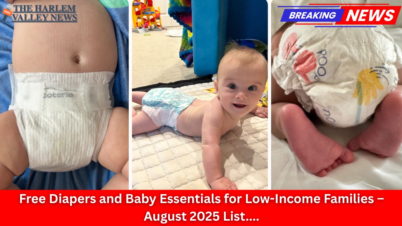 Free Diapers and Baby Essentials for Low-Income Families – August 2025 List