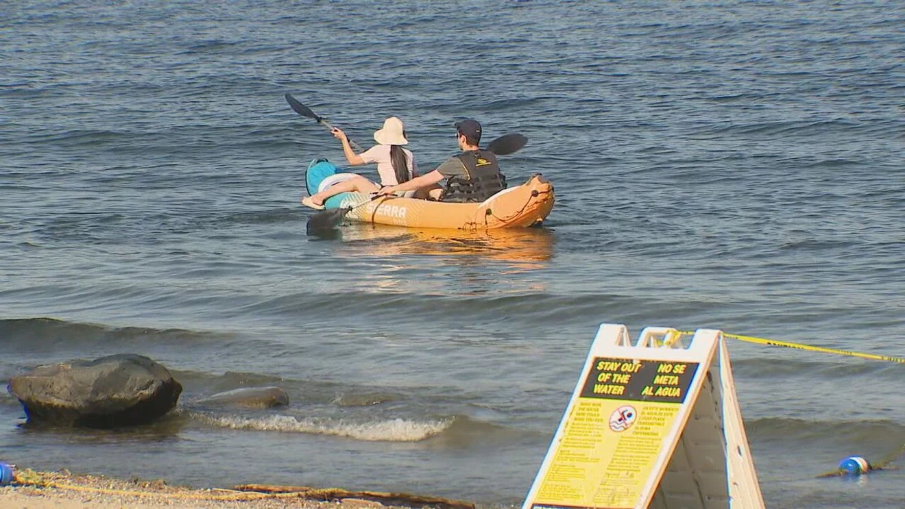Health Officials Warn Against Swimming at Six Seattle-Area Beaches Due to Bacteria Risk