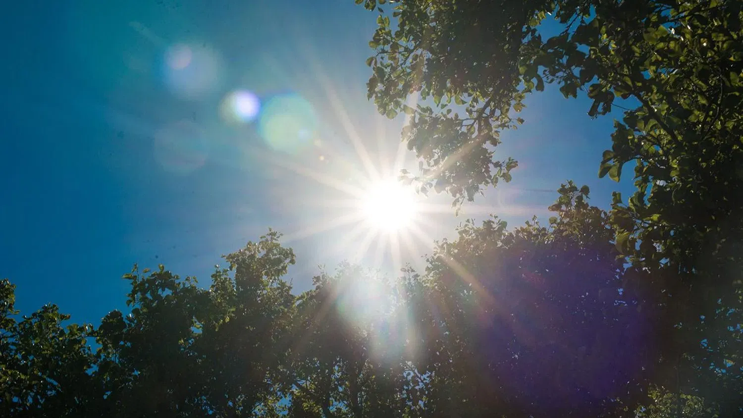 Heat Ramps Up in Oregon With Limited Overnight Relief Expected Into Next Week