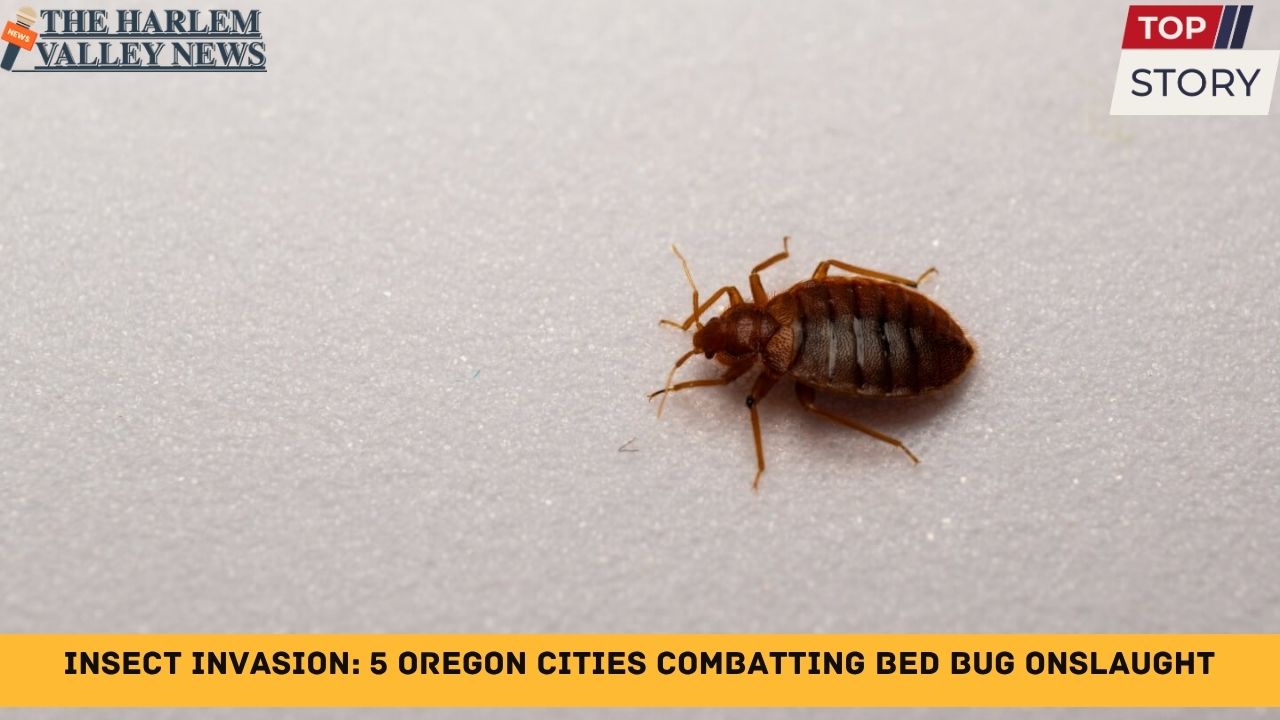 Insect Invasion: 5 Oregon Cities Combatting Bed Bug Onslaught