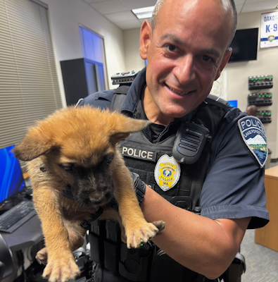 Lake Forest Park Officers, Retired Sergeant, and Save-A-Mutt Rally to Help Homeless Couple and Puppies