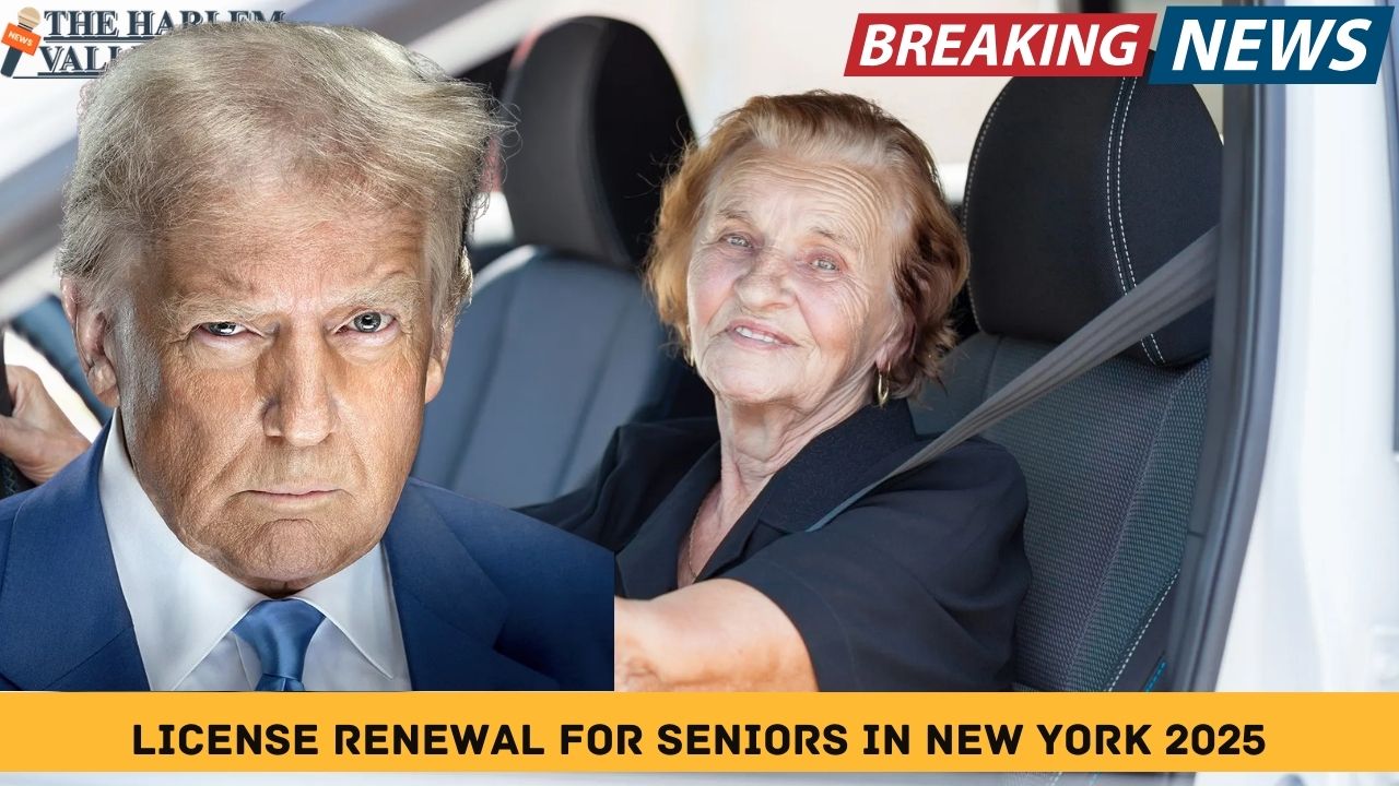 License Renewal for Seniors in New York 2025: What You Need to Know
