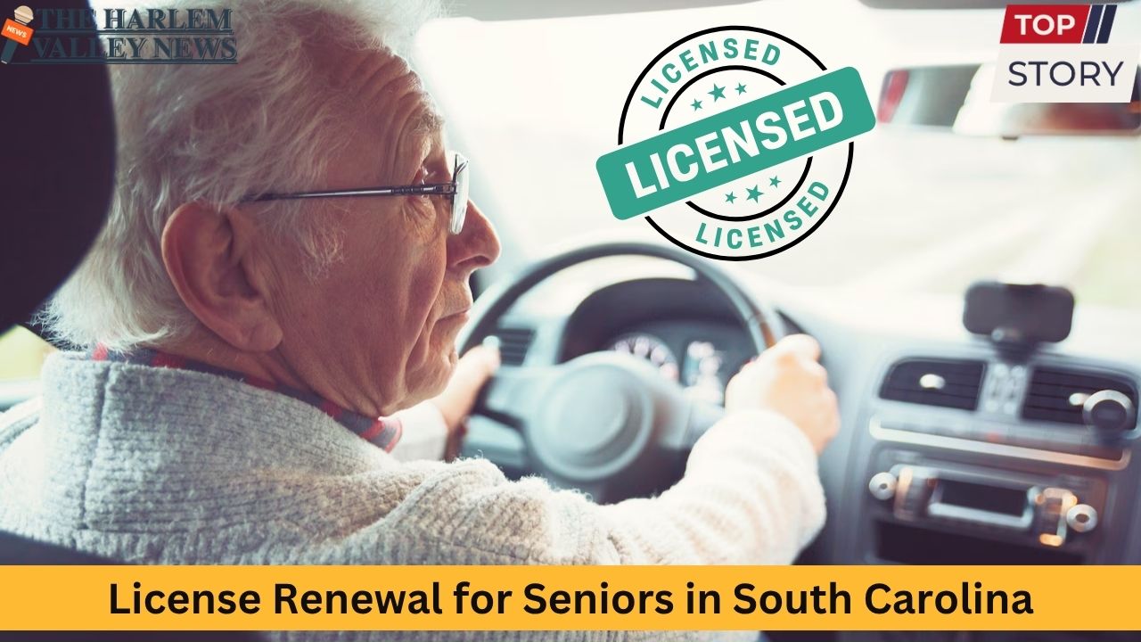 License Renewal for Seniors in South Carolina What You Need to Know in 2025