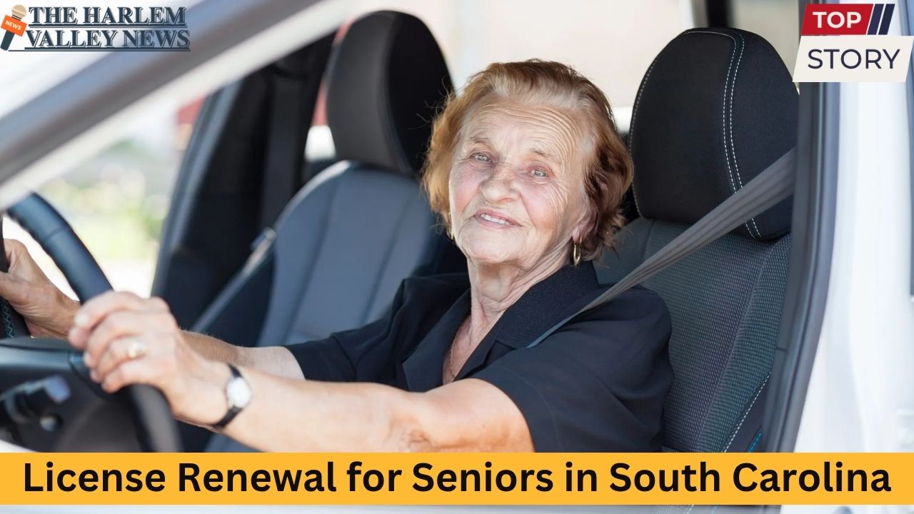 License Renewal for Seniors in South Carolina