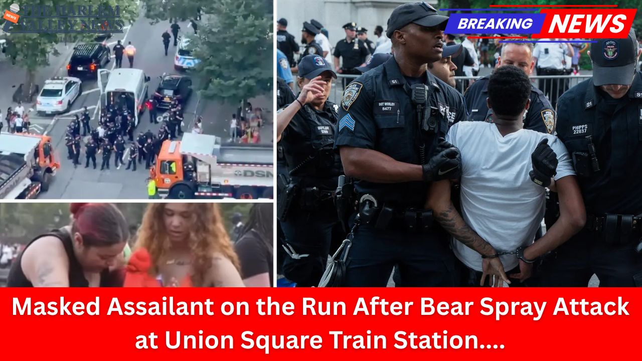 Masked Assailant on the Run After Bear Spray Attack at Union Square Train Station