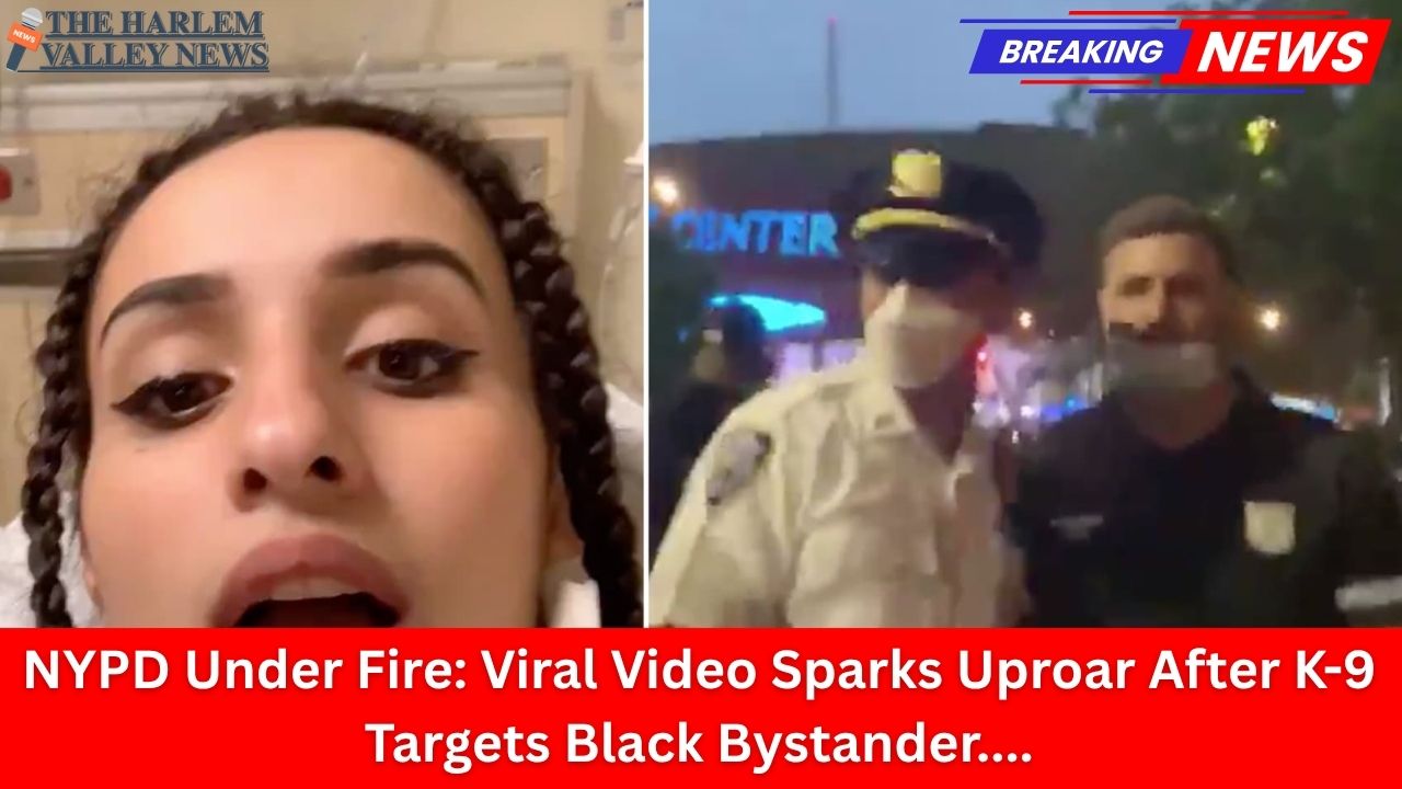 NYPD Under Fire: Viral Video Sparks Uproar After K-9 Targets Black Bystander, Fueling Racial Profiling Allegations