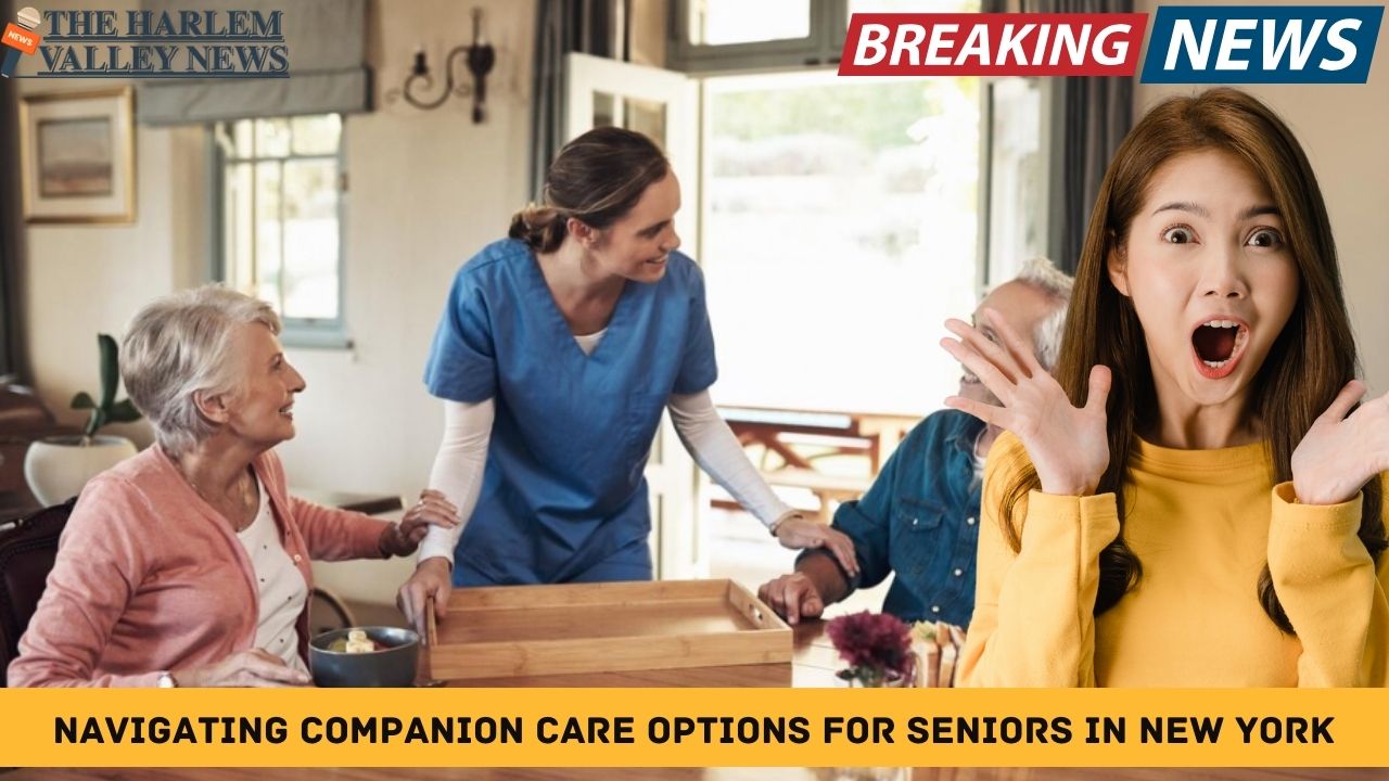 Navigating Companion Care Options for Seniors in New York