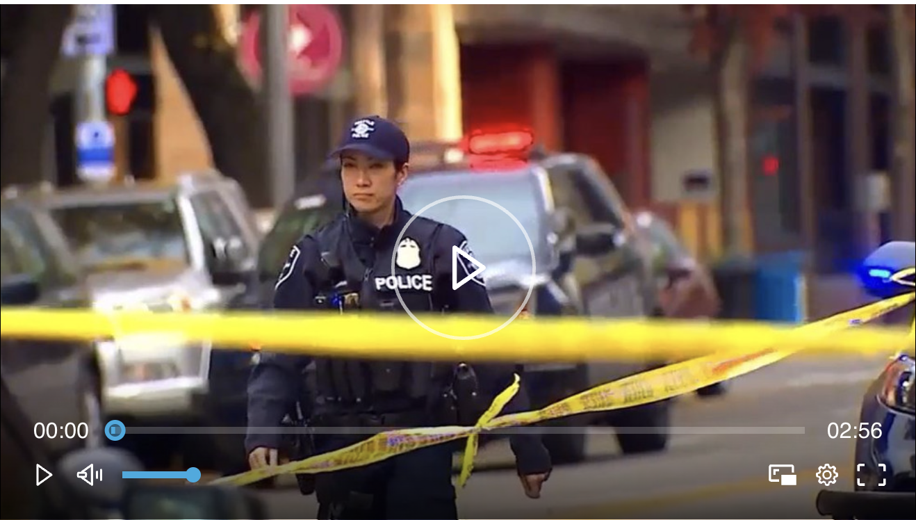 Seattle City Council Reviews Progress on Reducing Gun Violence, Overdoses