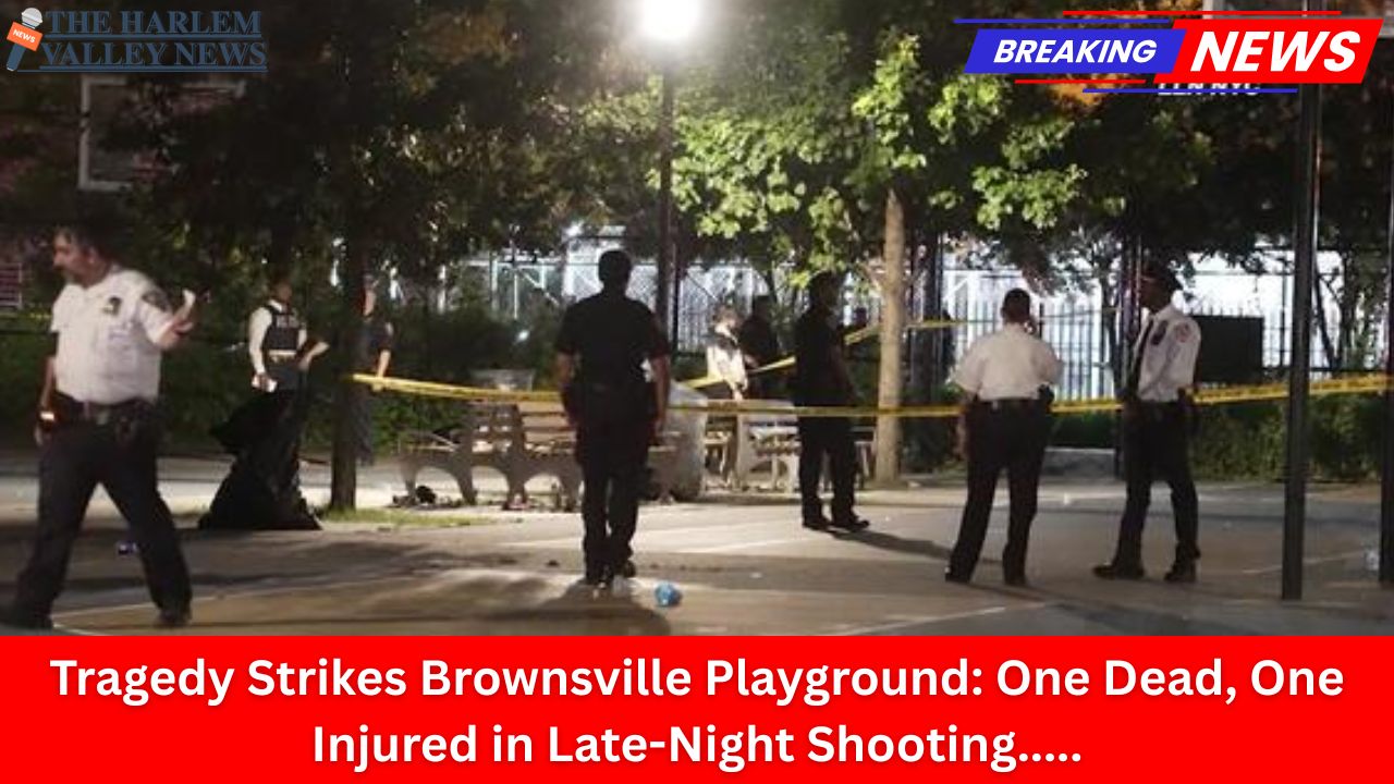Tragedy Strikes Brownsville Playground: One Dead, One Injured in Late-Night Shooting