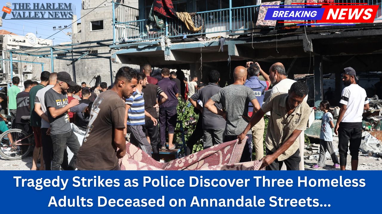 Tragedy Strikes as Police Discover Three Homeless Adults Deceased on Annandale Streets