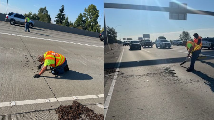 Troopers Arrest Pedestrian Accused of Tossing Hundreds of Nails Onto SR 16