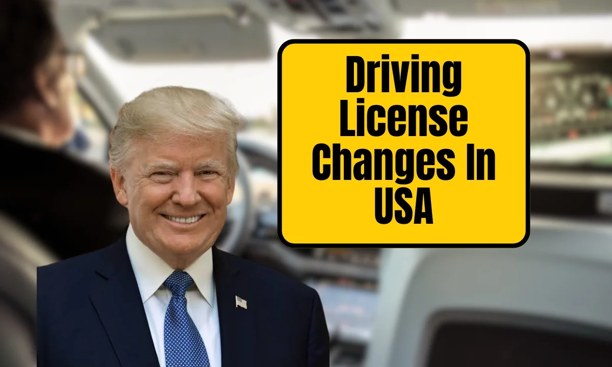US Driving License Rule Changes in Chicago from August 2025 – Essential Changes for Drivers Aged 70 and Above